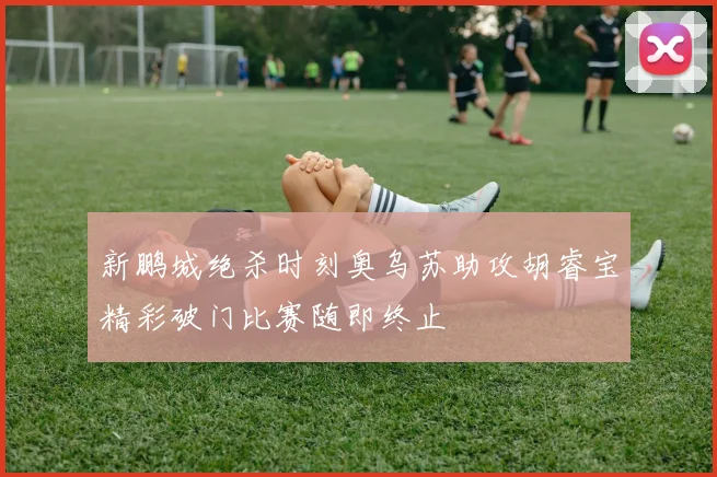 新鹏城绝杀时刻奥乌苏助攻胡睿宝精彩破门比赛随即终止
