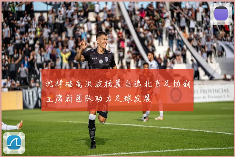 沈祥福高洪波杨晨当选北京足协副主席新团队助力足球发展