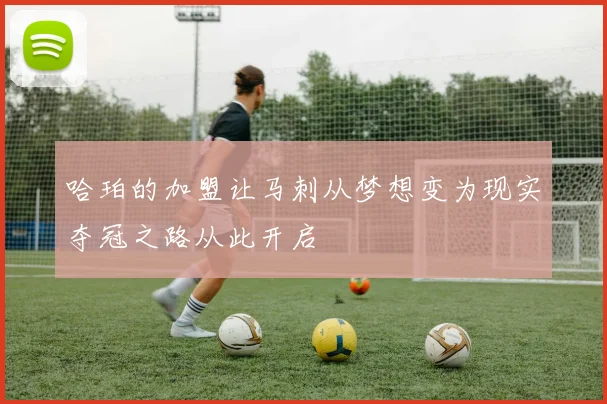 哈珀的加盟让马刺从梦想变为现实夺冠之路从此开启